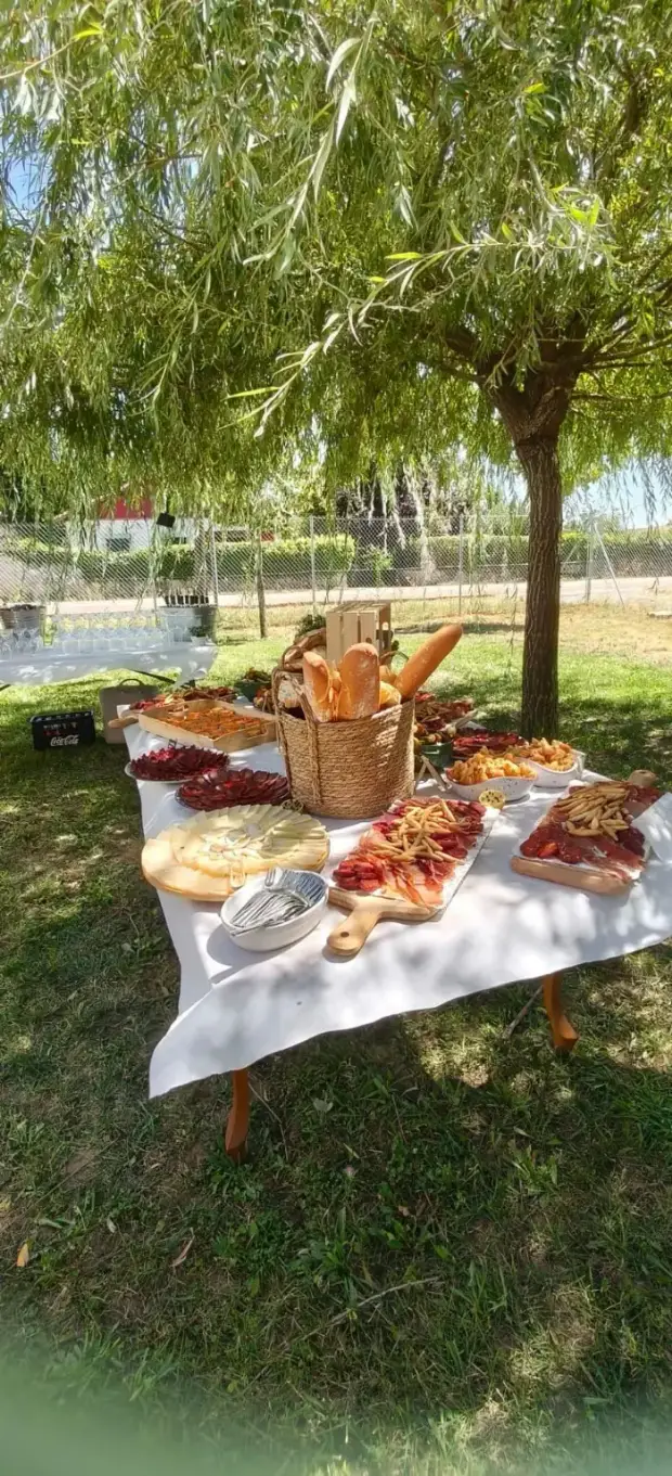 Mesa de aperitivo montada bajo el sauce en la zona verde de Casa Lupe